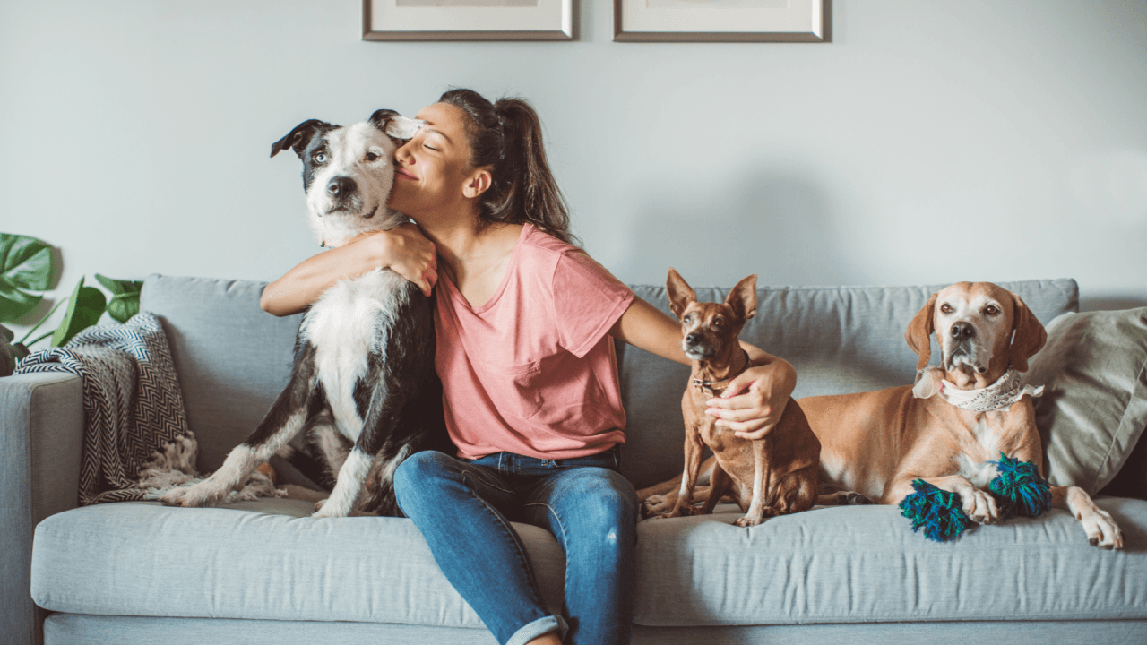 In recent years, advancements in technology have revolutionized the way we care for our beloved pets, offering innovative solutions to enhance their health, well-being, and overall quality of life.