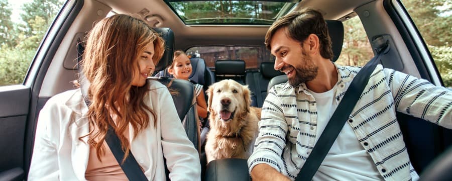 Betaal €0 Aanbetaling | Autolening...