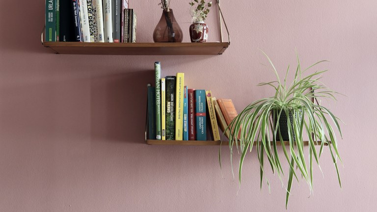 Arrange a Bookshelf for Reading, Storage, and a Room You Enjoy